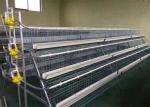 Q235 A Type Layer Chicken Cage