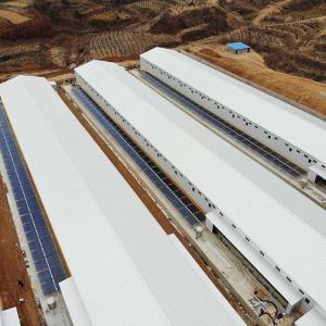 China Light Steel Structure Poultry Farming Structures Poultry House factory