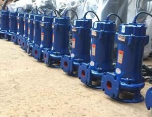 China Hydromatic Submersible Sewage Pump Motor 2600m3 H 80QW20-10-1.5 factory
