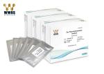 InfluenzaB Infection Rapid Fluoroimmunoassay Test Kit WWHS High Sensitivity FIA