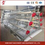 Automatic breeding Automatic Broiler Chicken Cage Rose