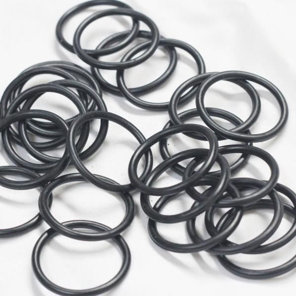 AS568 PG Standard Size FFKM O Ring Rubber Polysilicon Cleaning Equipment