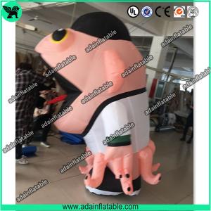 China Holiday Parade Inflatable Cartoon Costume Walking Inflatable Monster Moving Fish Mascot factory