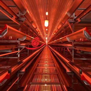 China High Standards Layer Chicken Cage System with Double Water Line on sale