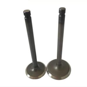 China TEM 13711-35010 Diesel Engine Valve For Toyota 22R 13715-35010 factory