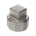 ASTM A182 F316L Round head NPT thread plug