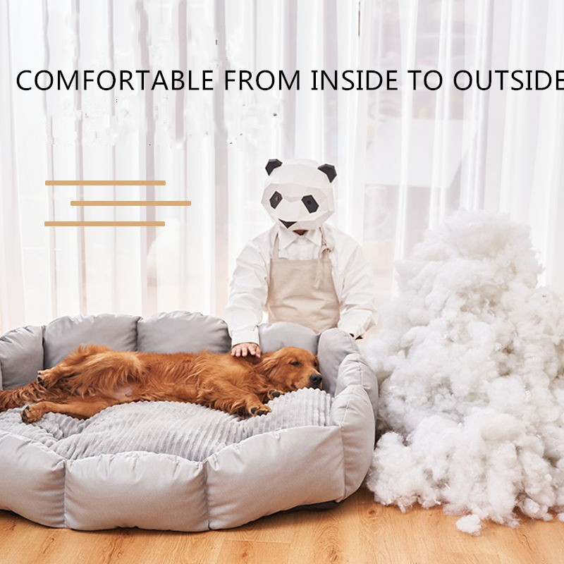  best washable dog beds for large dogs