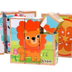China 3D Wooden Building Blocks Educational Six Sided Cubes For Children factory