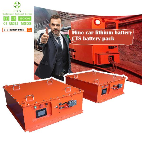 CTS Rechargeable 48V 302Ah Lifepo4 Battery With IP65 Waterproof Housing For