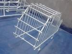 Anti Rust Swine Breeding Equipment For Sow Finishing / Weaning / Farrowing /