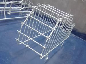 China Anti Rust Swine Breeding Equipment For Sow Finishing / Weaning / Farrowing / Gestation factory