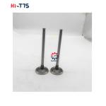 6BT 4BT Diesel Engine Spare Parts Inlet Valve 3901117 3920867 3920868