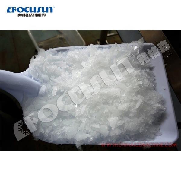 China Bitzer Compressor 1000KG Ice Shape Hielo en Escama Machine for Seafood Preservation factory