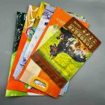 Virous Custom Printed Packaging Bags
