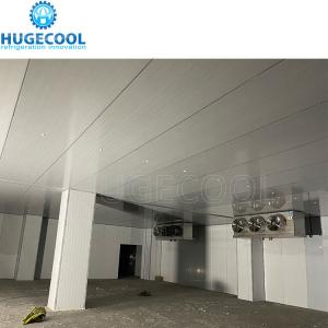 China Online Service for Walk-in Modular Cool Chiller Cold Storage Freezer Room Refrigeration factory