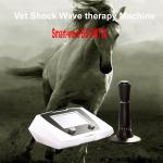 ESWT shockwave vet treatment veterinary extracorporeal shock wave therapy