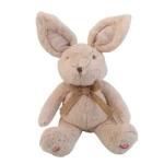 2023 New Baby Soft Rabbit Movement Toys Stuffed Animal Electronic Animal Music