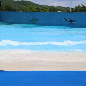 China Amusement Park Artificial Swim Wave Pool Air Operated Customizable factory