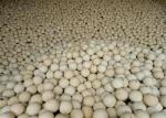 1900 Degree Size 40,50,60 Refractory Ball For Hot Blast Stove , High Temperature