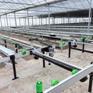 China Growing System Rolling Greenhouse Tables Adjustable Shuttle Bench System Agriculture Movable Bench factory