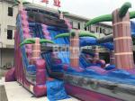Purple Adult Kids Inflatable Water Slides With Pool ,