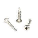 Top Performance Sus304 Stainless Steel Self Drilling Screw with Phillips Cross