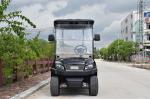 Convenient Electric Golf Buggy Italy Graziano Axle 12/1 Trojan Battery