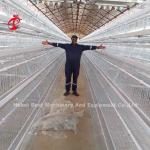 5 Tier 200 Birds Galvanized Poultry Layer Cage System For Chicken Farm Sandy