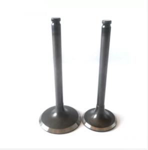 China TEM MD159502 Mitsubishi 4G63 Exhaust Valve And Intake Valve MD197193 factory