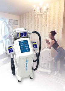 China Vertical Fat Freezing Machine , Supersonic Fat Reduction Device factory