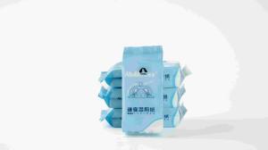 China Eco Friendly Wet Toilet Paper Enriched With Aloe Vitamin E Plant Based Fibers factory