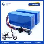 LiFePO4 Lithium Battery 36V 48V Li-ion Battery 30AH 80AH 120AH OEM ODM