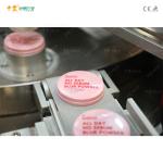 Automatic 1 Color Screen Printing Machine For Flat Surface Products 7KW