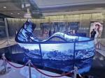 Indoor MSD300 Novastar SMD2121 P3 Flexible Soft Led Display