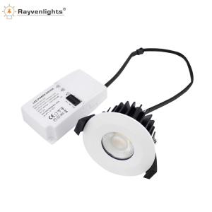 China Spot Lights BS476-21 30/60/90min S-G-S Approval Outdoor Led Downlight IP65 downlight 6000k factory