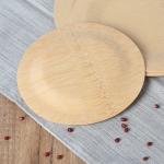 100% Organic Compostable Disposable Bamboo Leaf Plates 9 Inch