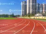 Factory Price Anti-Aging Athletic Running Track Indoor and Outdoor Synthetic
