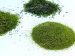 Dried Green Laver Aonori Powdered Dried Seaweed Powder - Authentic Japanese