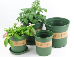 China Series 5 Green plstic plant pot 3 gallon factory