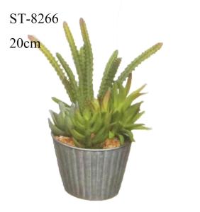 China 20CM Small Artificial Cactus Succulents Plant Gift Decorative Eco - Friendly factory
