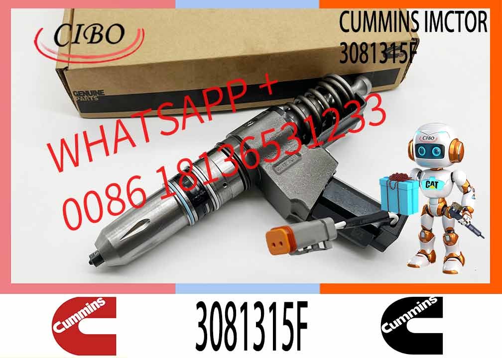 Reliable Fuel Injector Assembly 3081315F For Cummins Engine N14 Series Matching Diesel 3095086