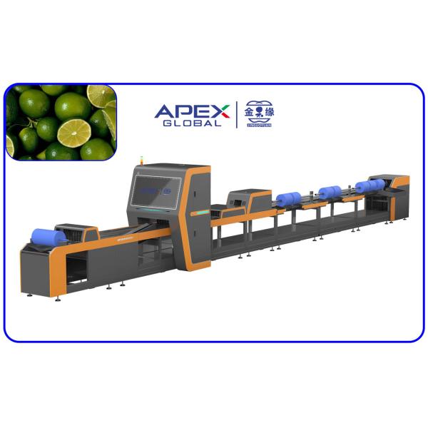 China 380V / 50Hz Automatic Lemon Sorting Machine With PLC Control System factory