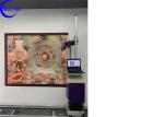 1920X1080 CMYK ROHS Vertical Wall Mural Painter