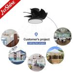 Decorative Quiet DC Motor Flush Mount Small Ceiling Fan With Led Light