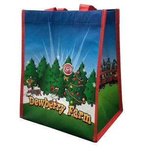 China 100% Recycled PP-Woven Polypropylene Laminated Shopping Bag factory