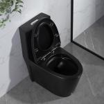 Matte Black One Piece Dual Flush Comfort Height Toilet Top Flush Button