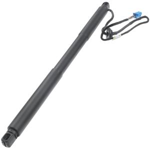 China 1668900100 Gas Spring Boot factory