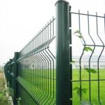 Fast Supply Speed Insulated Garden Fencing Metal Frame PVC Coated 3D Curved Wire