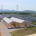 Commercial Greenhouse Solar System Electric Power Galvanized Surface Treatment