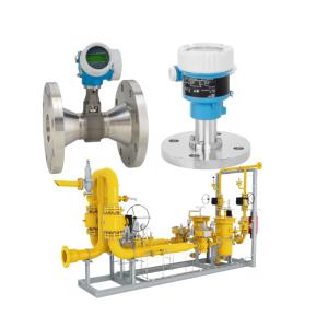 China Natural gas valve skid equipped with an Endress+Hauser Proline Prowirl R 200 flowmeter and a Deltabar PMC51B pressure transmitter. factory